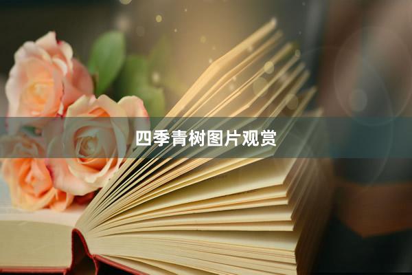 四季青树图片观赏